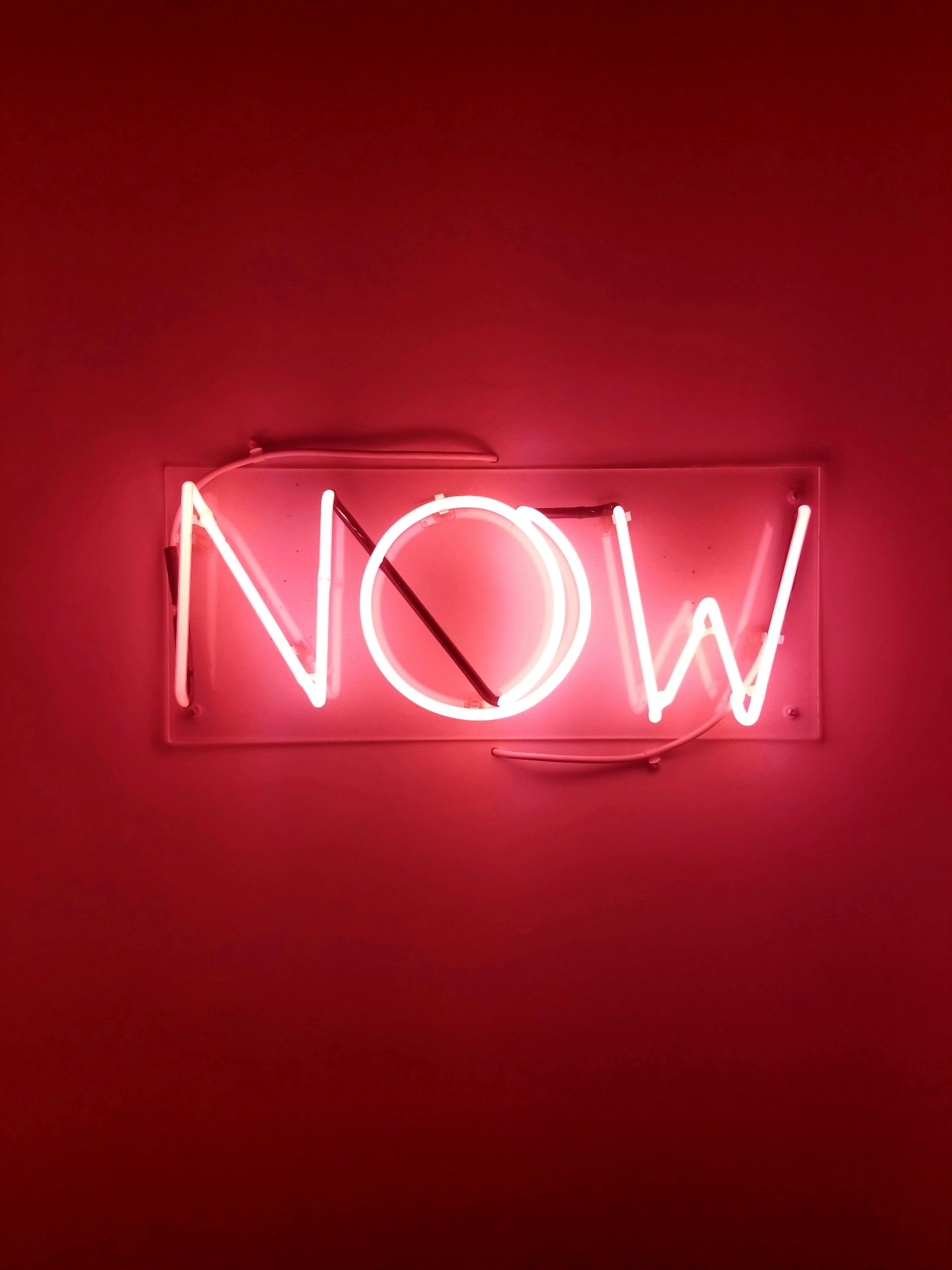 A bright pink neon sign displays the word NOW against a deep pink background, asking: If not now, when?.